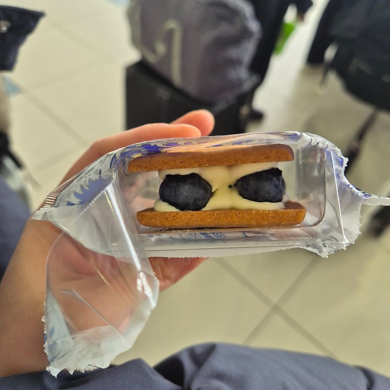 Best Sapporo Dessert Souvenirs: Rokkatei Butter Sando, Ryugetsu An-Bata-San & Kinotoya Apple Pie (Honest Review)